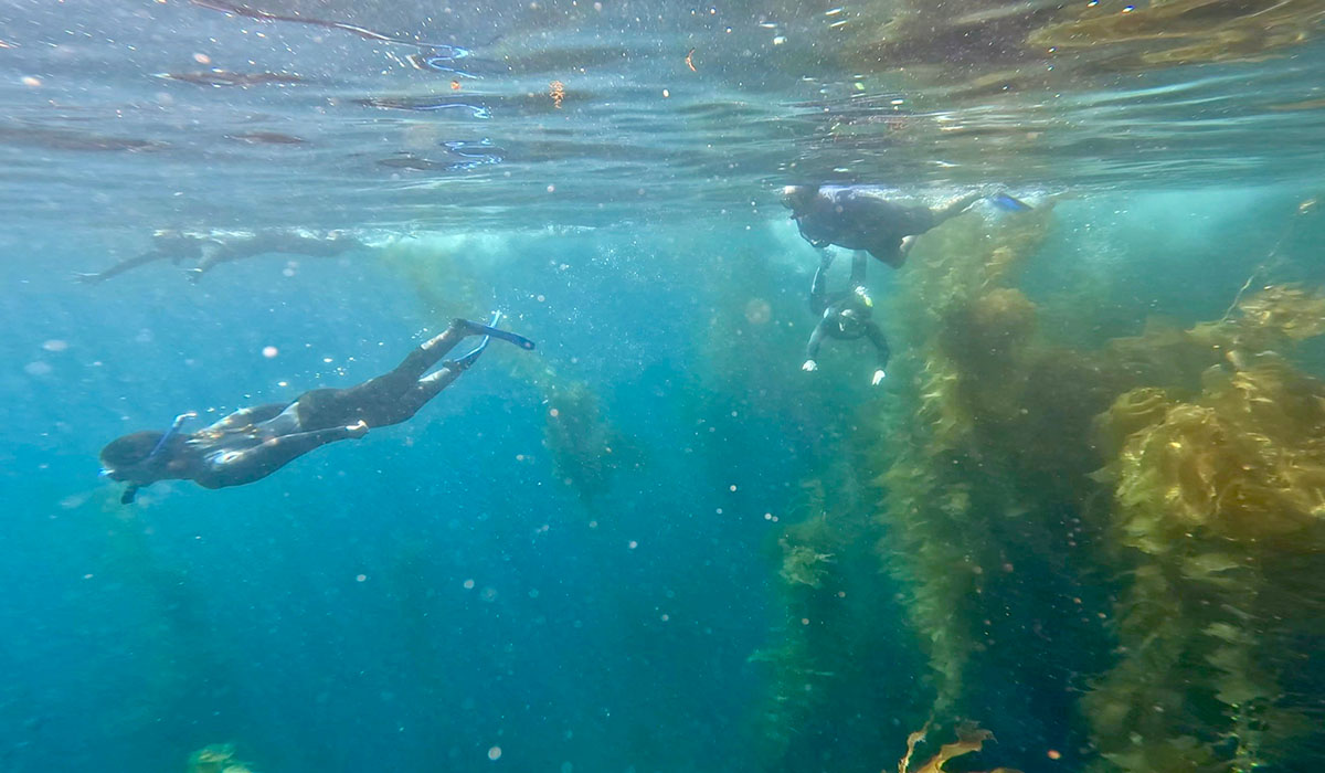 Catalina Island Excursion